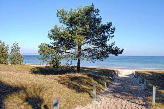 Strandvilla Aegir Mit Ostseeblick *